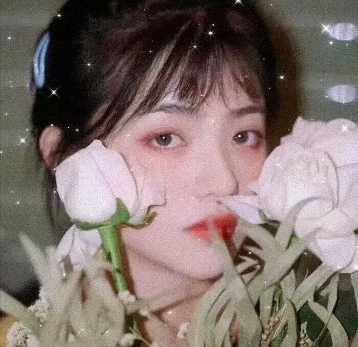 如果我能冬眠