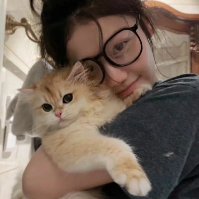 小狮王守护队：狮王再起